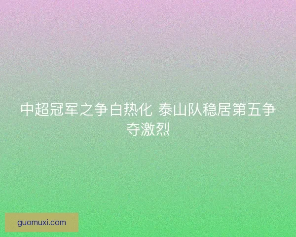 中超冠军之争白热化 泰山队稳居第五争夺激烈