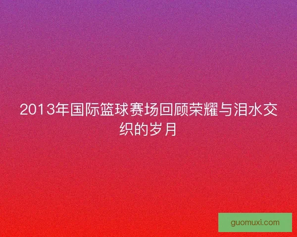 2013年国际篮球赛场回顾荣耀与泪水交织的岁月