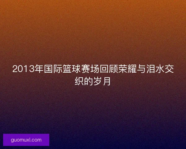 2013年国际篮球赛场回顾荣耀与泪水交织的岁月